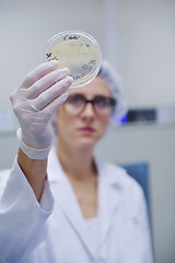 Image showing scientists working at the laboratory