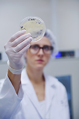 Image showing scientists working at the laboratory