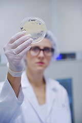 Image showing scientists working at the laboratory