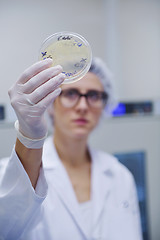 Image showing scientists working at the laboratory