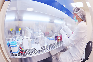 Image showing scientists working at the laboratory