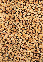 Image showing Birch firewood vertical background