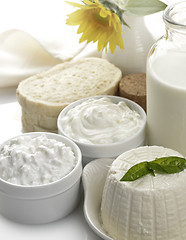 Image showing Dairy Products