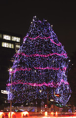 Image showing Festive decorated tree