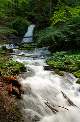 Image showing Forest scenery with small waterfall
