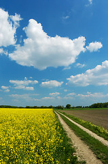 Image showing Dirt road among fields