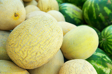 Image showing Pile of melons