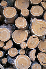 Image showing Round Logs Background