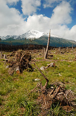 Image showing Devastated Landscape