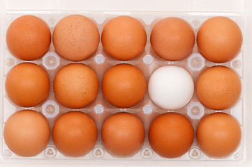 Image showing Eggs in box