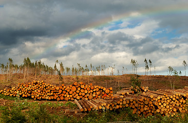 Image showing Exploiting Mother Earth