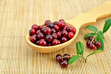 Image showing Lingonberry in a wooden spoon on a bamboo mat