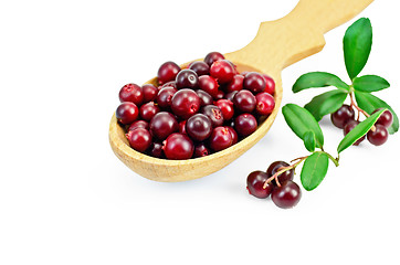 Image showing Lingonberry in a wooden spoon