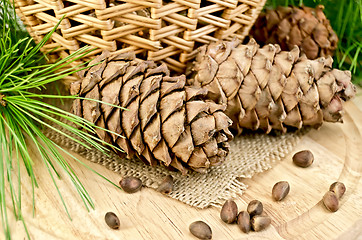 Image showing Cedar cones with a basket