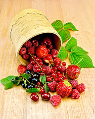 Image showing Berries in a birch tueski