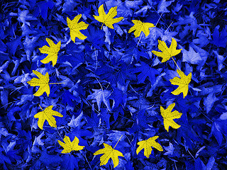 Image showing EU flag