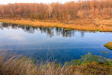 Image showing Autumn trees reflected in the river