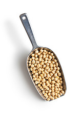 Image showing soy beans in scoop