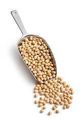 Image showing soy beans in scoop