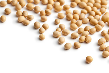 Image showing soy beans on white background
