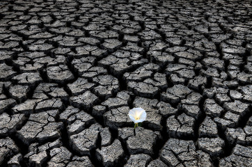 Image showing Dried up River Bed