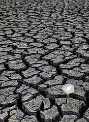 Image showing Dried up River Bed