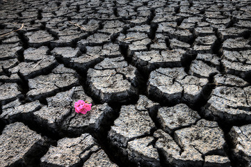 Image showing Dried up River Bed