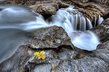 Image showing Natural Bridge