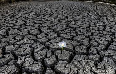 Image showing Dried up River Bed