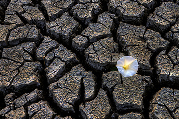 Image showing Dried up River Bed