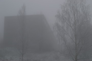 Image showing Fog