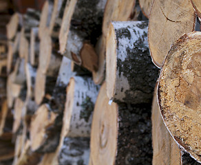 Image showing Stacked Round Logs 