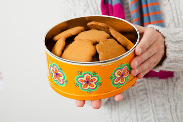 Image showing Tin of gingerbread biscuits