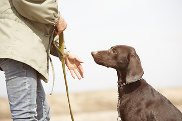 Image showing Dog and trainer