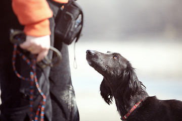 Image showing Dog and trainer