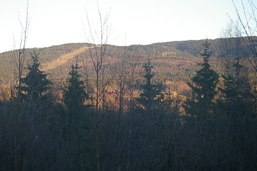 Image showing Sørkedalen in Oslo