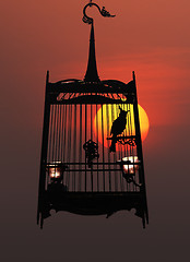 Image showing Singing bird in cage, against the setting sun