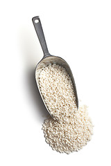 Image showing the uncooked arborio rice