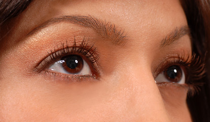 Image showing Closeup of attractive woman's brown eyes