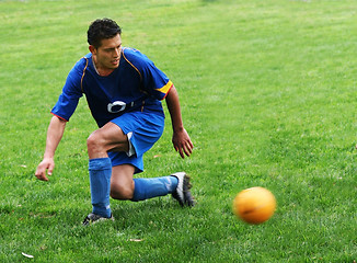 Image showing Soccer player