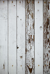 Image showing Gray wooden wall. Macro shot.