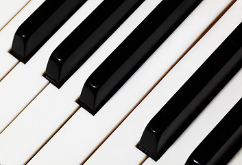 Image showing Piano keys.