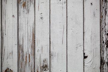 Image showing Grey wooden wall. Macro shot.