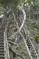 Image showing stairway to mayan temple tikal