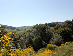 Image showing Summer background landscape
