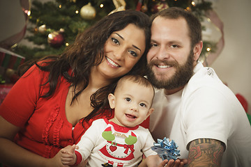 Image showing Young Mixed Race Family Christmas Portrait 