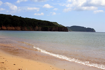 Image showing Sandy beach - good vacation spot