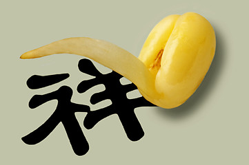 Image showing soybean sprout