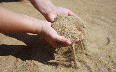 Image showing Sand flows down from palms