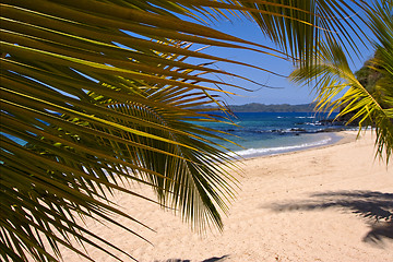 Image showing rocks  palm lagoon and coastline